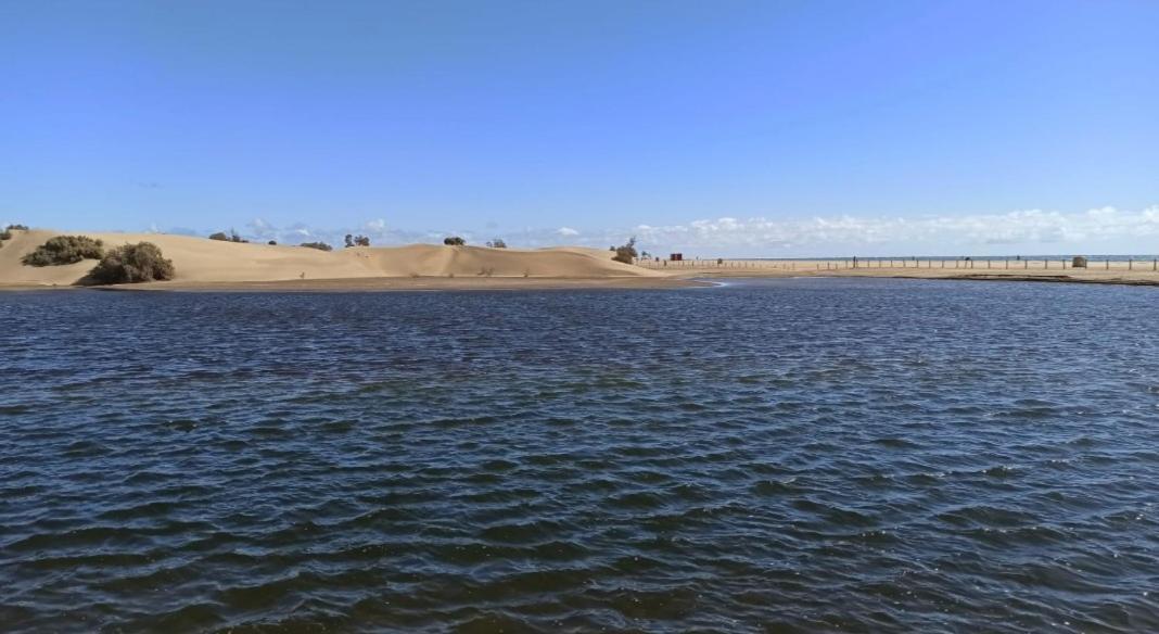 Barber Las Brisas Playa del Inglés Eksteriør billede